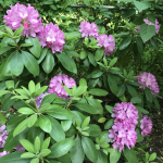 5bChuyVgTkCgtMrTzwkNFA