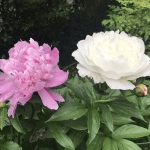 CTgPFOjKSDG9S8wdCXAo3w