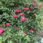 6vy%rrX3QTm8XW0ZpILhkg